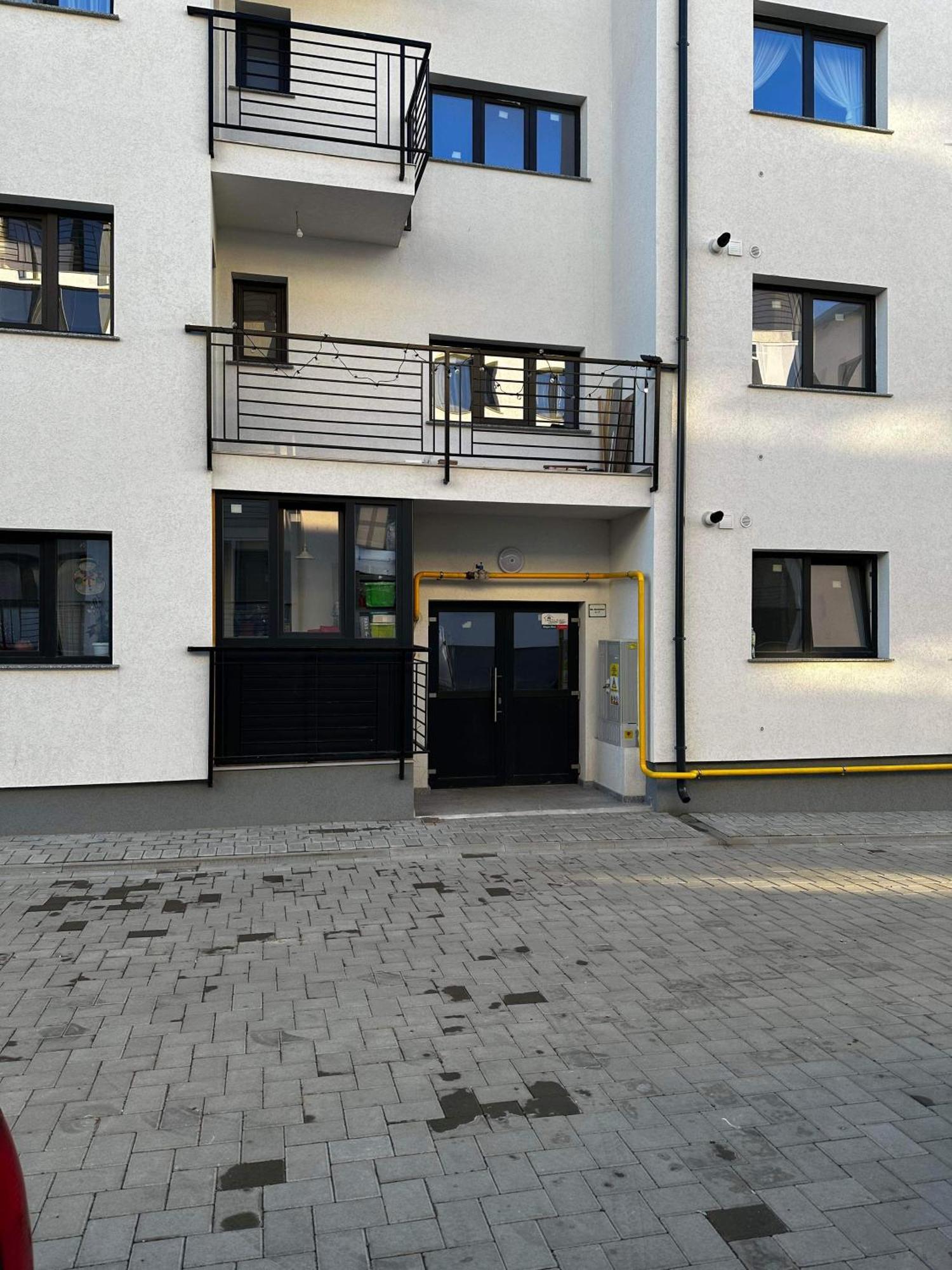 Jungle Loft Daire Suceava Dış mekan fotoğraf