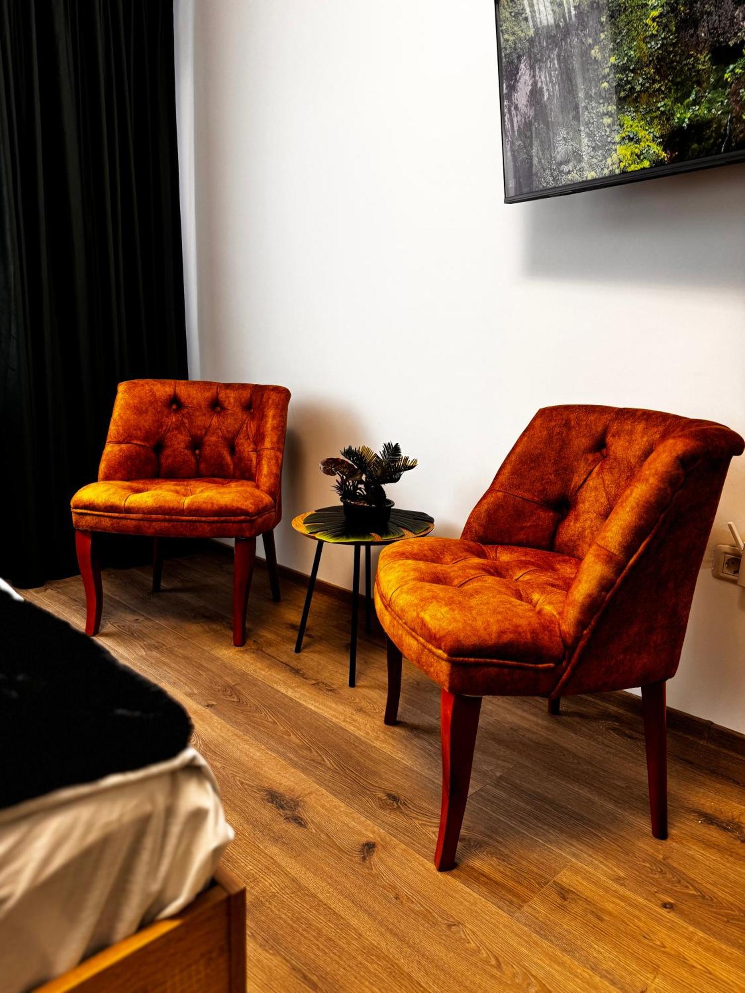 Jungle Loft Daire Suceava Dış mekan fotoğraf